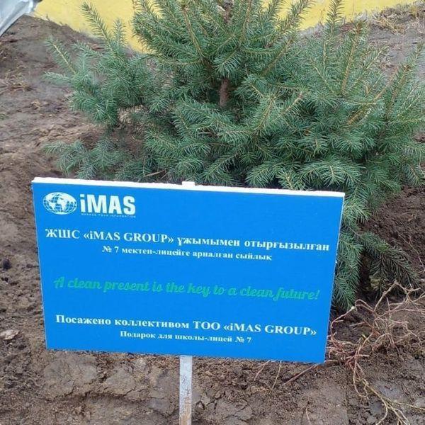 Подарок от компании «IMAS GROUP»